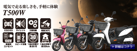 ハチハチハウス 電動スクーター・エコスクート T500W